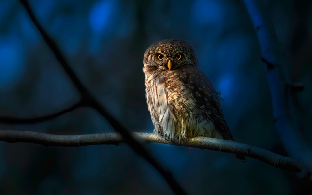 How to Leverage Artificial Intelligence to Bolster Your Advertising Efforts (ROAS)