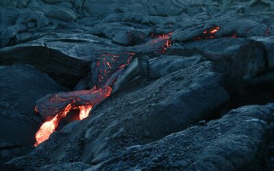 Where Are You Leaking Ad Dollars? Maximizing ROAS Through Rigorous Digital Ad Account Auditing