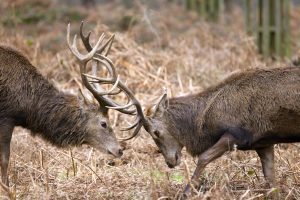 Defensive Ad Strategies That Will Save You Thousands
